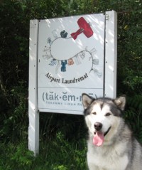 Laundromat sign with sidekick