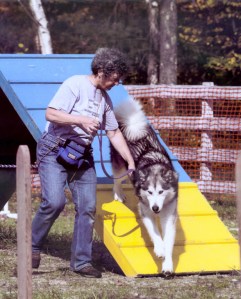 We play on the A-frame at Camp N Pack 2012.  Photo by Threepairs Photography.