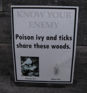 Visitors may view the island's dangerous flora and fauna in complete safety.