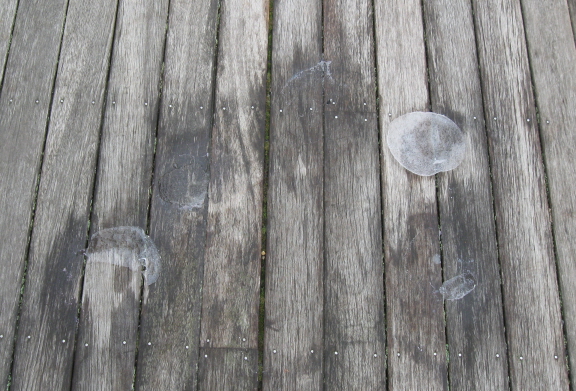 20130130 almost gone