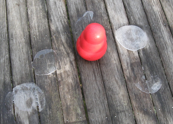 20130130 fading w kong