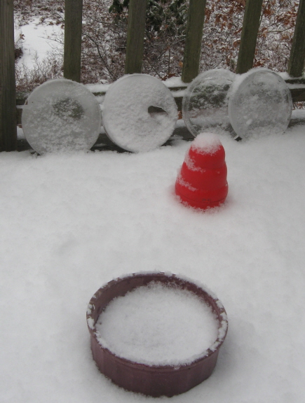 20130506 kong & dish