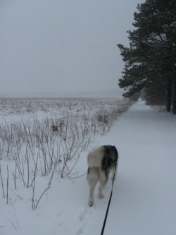 Obligatory fuzzy-butt photo