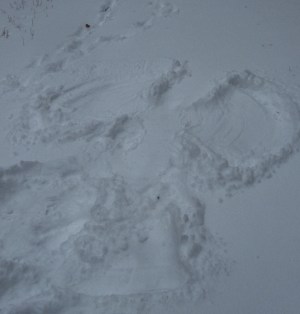 snow angel 1