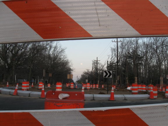 Orange seen through orange