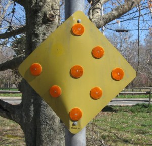 Orange you glad I didn't say yellow?