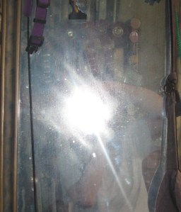 Blogger photographs self but forgets to turn flash off.