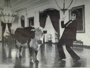 Partial cover of "Debutante," featuring Red Satin (left) and Willie Tyson. Photo and album design by JEB, long before Photoshop btw.