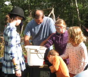 Sorting and chopping apples, fun for all ages