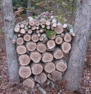 20131014 log stack 2