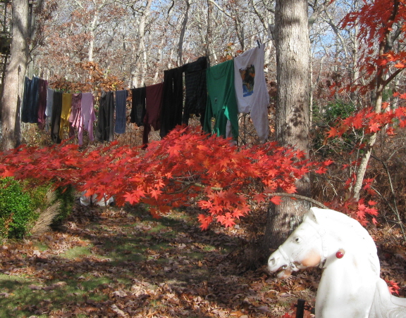 horsehead laundry