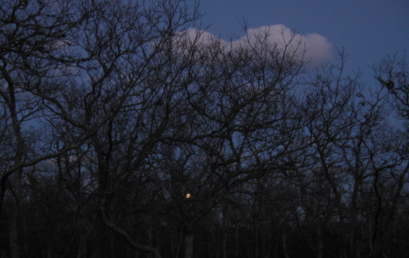 20131216 full moon rise