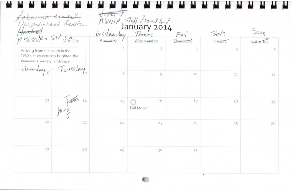January calendar, annotated
