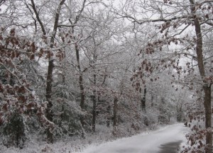 The dirt road I live on