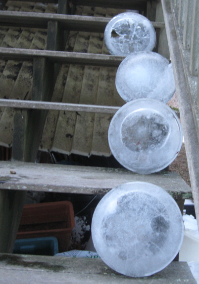 20140131 four on stairs
