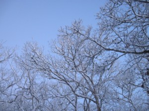 20140216 early morning