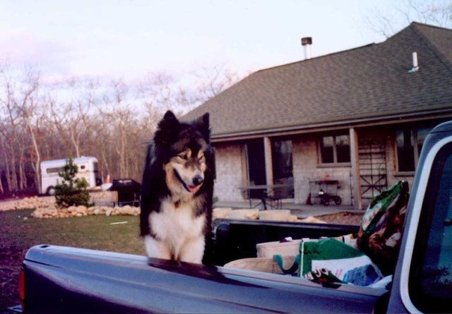Rhodry supervised both me and the pickup on our horse-sitting gigs.