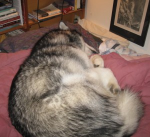 Whose bed is it anyway?