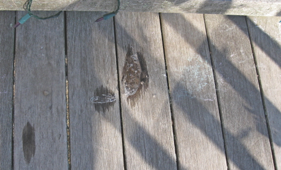 Sunday morning, March 9