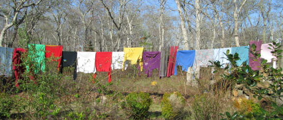 20140515 line with trees