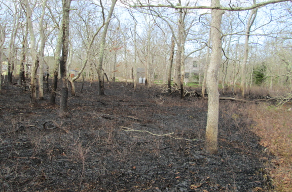 The firefighters held the line. At the far left through the trees is the nursery school. The house to the right belongs to the housing authority.