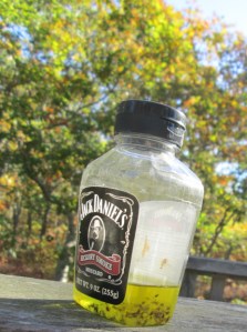 About two months' worth of ticks, mostly courtesy of Travvy