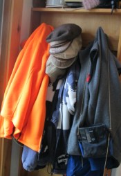 Guess which one doesn't belong?