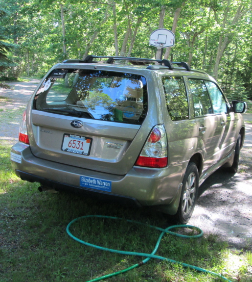 20140616 clean malvina 2