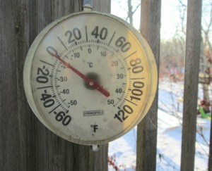 Valentine's Day, just before the snow started in earnest, it was pretty chilly.