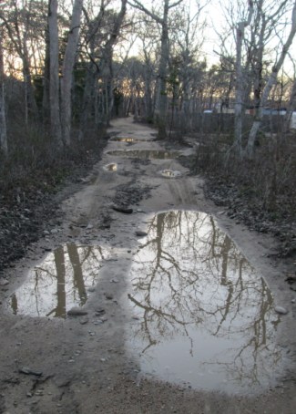 A "good" stretch of the Dr. Fisher Road during mud season. Most Vineyard roads don't look like this.