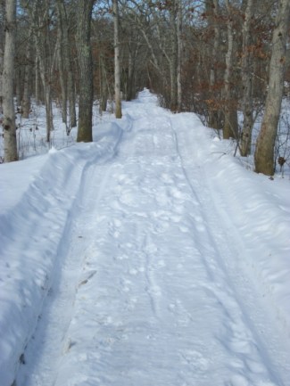 20150227 snowy moguls