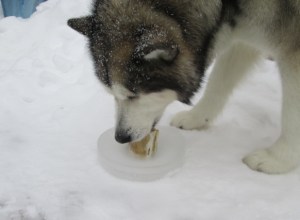 20150217 trav & boney