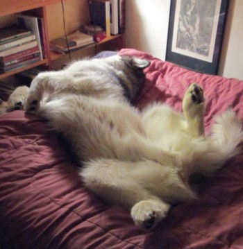 . . . and Travvy approves.