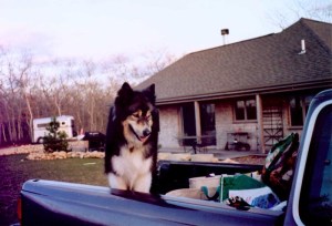 Rhodry (1994-2008) went almost everywhere with me. This was at a horsesitting gig.