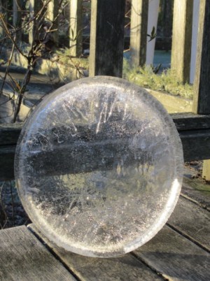 November 18, 2015: first ice disk of the season.