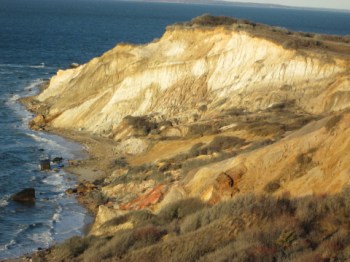 View from the observation area