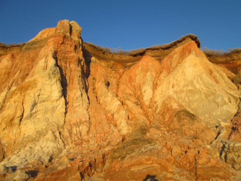 The reds get redder in the late afternoon sun.