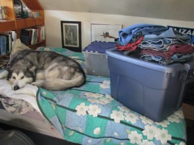 20160526 clothes switch