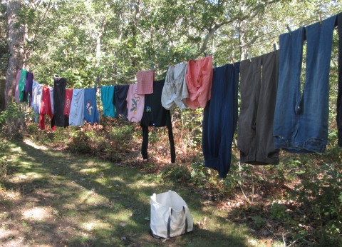 20161010-early-fall-line