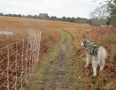 Trav keeps his distance.