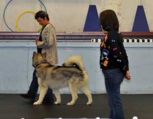 Travvy and me at a Pam Dennison clinic in 2011.