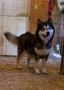 picture of mama Anuk